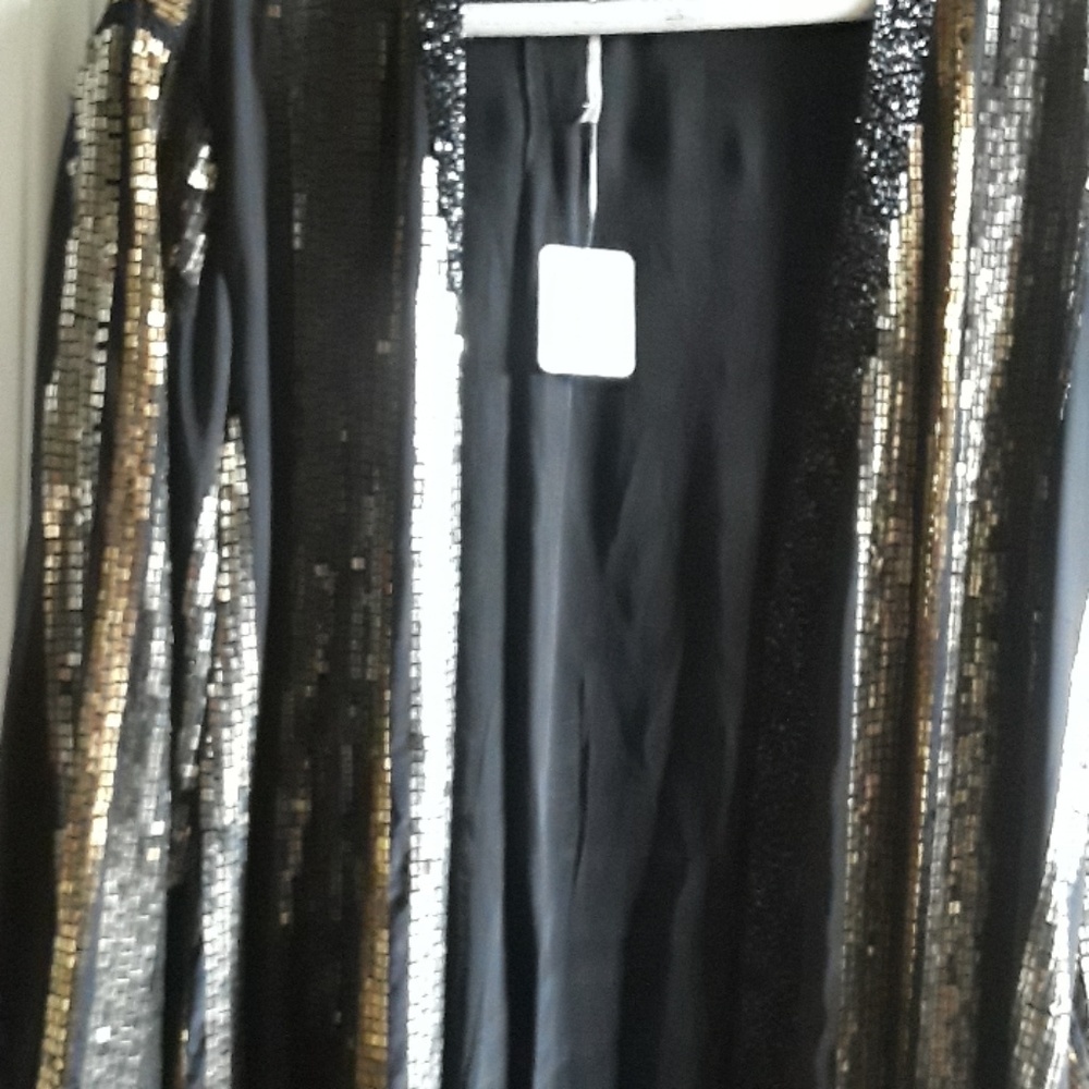 Bianca free people sequin jacket